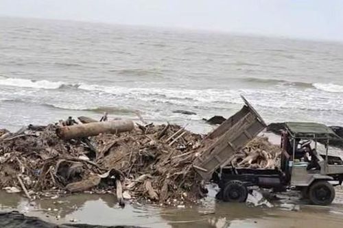 Video người dân đổ hàng tấn rác ra biển để 'nhờ' thủy triều cuốn đi