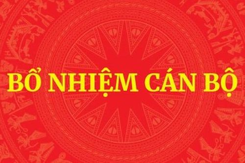 Thủ tướng tiếp nhận, bổ nhiệm nhân sự Bộ Dân tộc và Tôn giáo, Bộ NN&MT và giao điều hành ĐHQGHN