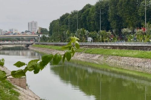 Sông Tô Lịch bất ngờ trong xanh trở lại, gây ngỡ ngàng