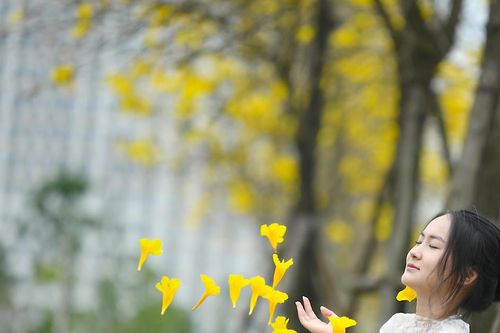Rực rỡ những đường hoa ở Hà Nội