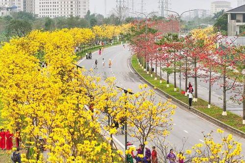 Khi phong linh biến những góc phố thành 'tọa độ săn ảnh'