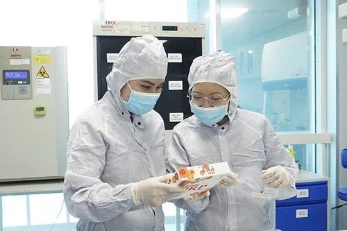 Năm 2026, tiếp tục thực hiện có hiệu quả các chương trình, chính sách an sinh xã hội