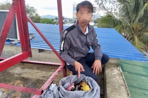 Đạo chích mê cờ bạc
