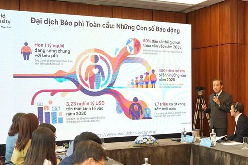 20 triệu người Việt bị thừa cân, béo phì