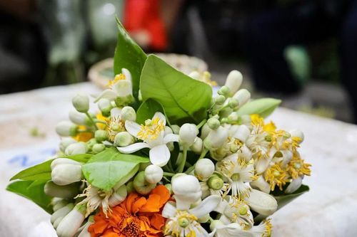 Hoa bưởi đầu mùa giá triệu đồng/kg vẫn đắt khách