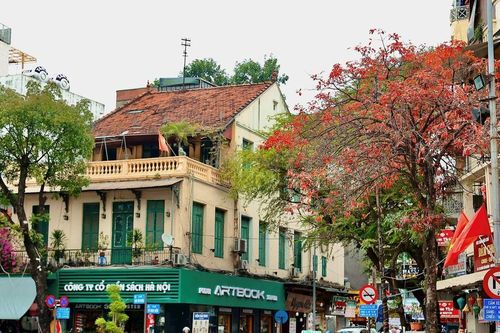 Tháng 3 về, Hà Nội khoác áo mới giữa mùa thay lá
