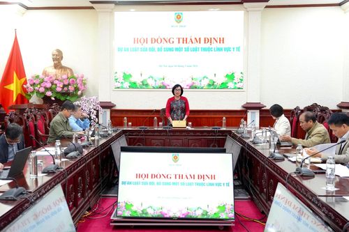 Thẩm định Dự án Luật sửa đổi, bổ sung một số luật thuộc lĩnh vực y tế