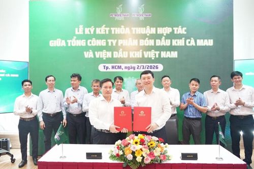 PVCFC và VPI hợp tác phát triển nông nghiệp xanh, bền vững