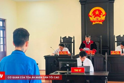 Bán ma túy ngay tại nhà, nam thanh niên lĩnh 8 năm tù