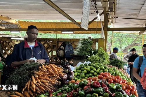 FAO cảnh báo tác động của khủng hoảng nhiên liệu đối với nông nghiệp Cuba