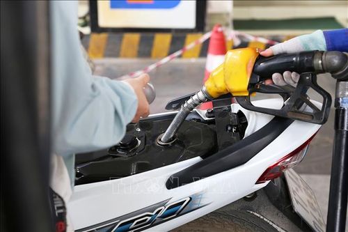 Cửa hàng xăng dầu cảng Cát Lái và ICD Long Bình vẫn hoạt động bình thường