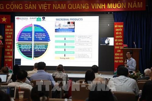 Tăng giám sát chất lượng không khí, xác định những điểm nóng đốt rơm rạ