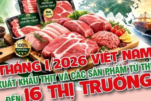 Xuất khẩu thịt và các sản phẩm thịt của Việt Nam tháng 1/2026