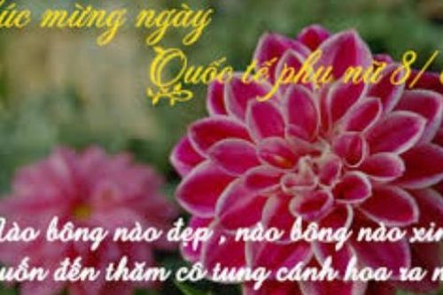 Những bài hát chúc mừng ngày Quốc tế Phụ nữ 8/3 ý nghĩa nhất