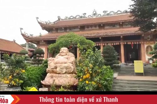 Hành trình du xuân