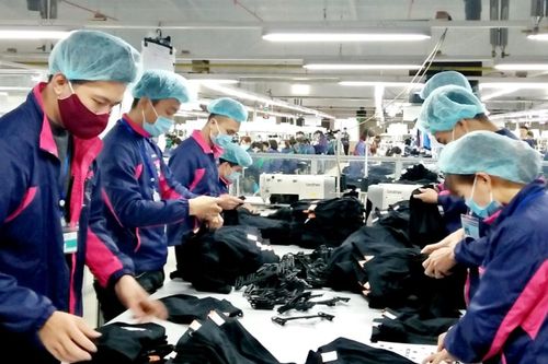 Công đoàn theo dõi sát tình hình sản xuất, kinh doanh, việc làm, tiền lương tại các doanh nghiệp