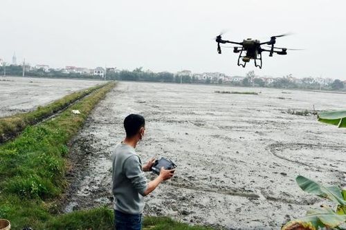 Bắc Ninh: Nhân rộng những 'cánh đồng không bước chân'