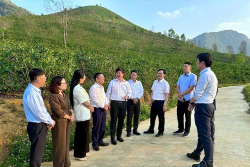 Đoàn công tác của Bộ Khoa học và Công nghệ làm việc tại xã Mường Ảng