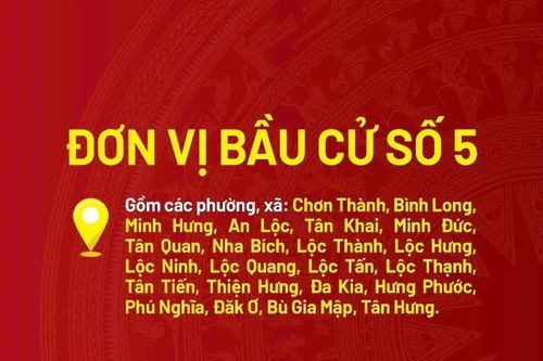 [Infographic] Danh sách các ứng cử viên đại biểu Quốc hội khóa XVI - Đơn vị bầu cử số 5 tỉnh Đồng Nai