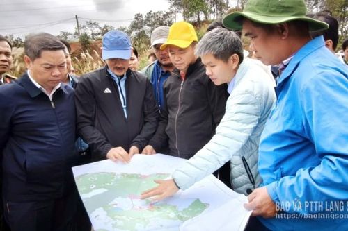 Khảo sát, rà soát hướng tuyến Dự án Quần thể khu du lịch sinh thái, cáp treo Mẫu Sơn