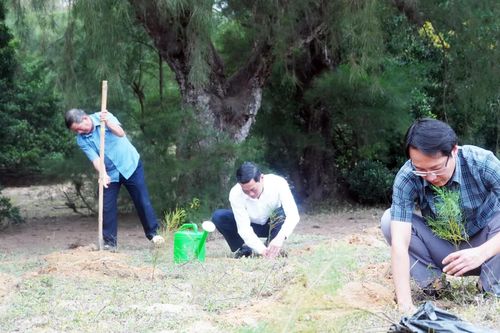 Giữ vững 'vành đai xanh' nơi đầu sóng