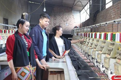 Phát huy hiệu quả các mô hình kinh tế hộ gia đình