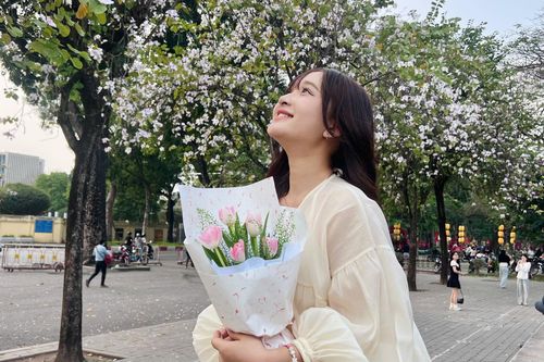 Chen chân check-in hoa ban trên đường phố Hà Nội