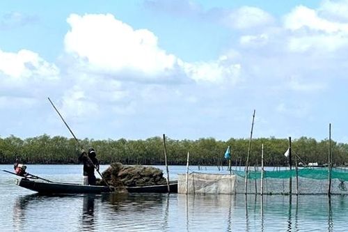 Phát huy tiềm năng, khai thác hiệu quả lợi thế hệ đầm phá nước lợ lớn nhất Đông Nam Á