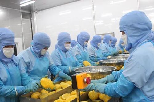 Antesco trình cổ đông phương án cổ tức tổng tỷ lệ 25%