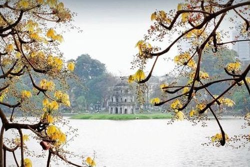 Hà Nội mùa cây nảy lộc