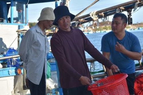 Ngư dân Lâm Đồng trúng đậm mẻ cá, mực đầu xuân
