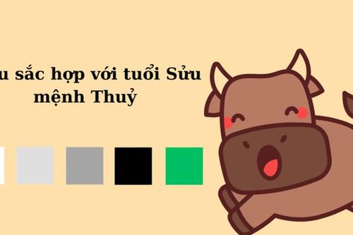 Con giáp tuổi này nên mua gì đầu năm để tạo điểm khởi đầu tốt cho một năm mới thịnh vượng