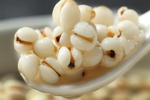 Chứng chán ăn ở người cao tuổi xử trí thế nào theo Y học cổ truyền?