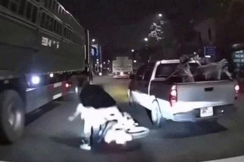 Chèn ép xe máy ngã sát bánh xe tải: Tài xế bán tải có thể đối mặt khung hình phạt nào?