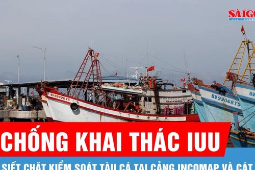 Siết chặt kiểm soát tàu cá tại cảng Incomap và Cát Lở để chống khai thác IUU