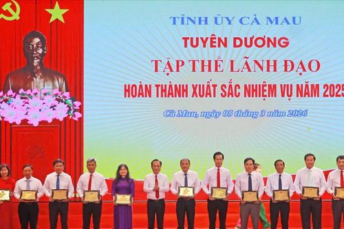 Cà Mau tuyên dương 385 tập thể, cá nhân điển hình tiên tiến trên các lĩnh vực