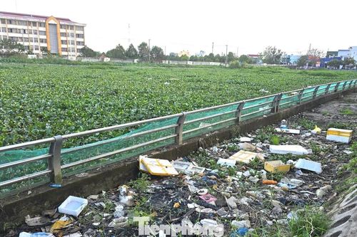 Nhếch nhác hồ cạnh phố ẩm thực ở trung tâm Cần Thơ