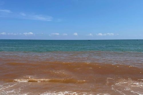 Bất ngờ kết quả phân tích mẫu nước tại biển ở Gia Lai xuất hiện dải nước nâu đỏ dài hàng km