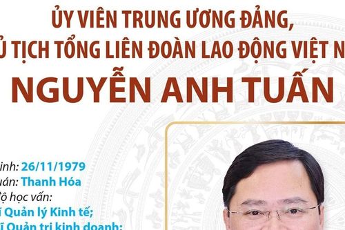 Ủy viên Trung ương Đảng, Chủ tịch Tổng Liên đoàn Lao động Việt Nam Nguyễn Anh Tuấn