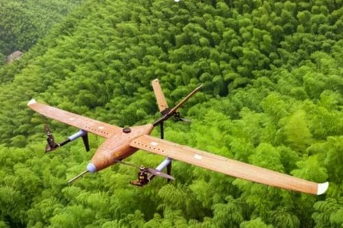 Bỏ sợi carbon, Trung Quốc dùng tre làm UAV: Điều gì khiến giới công nghệ chú ý?