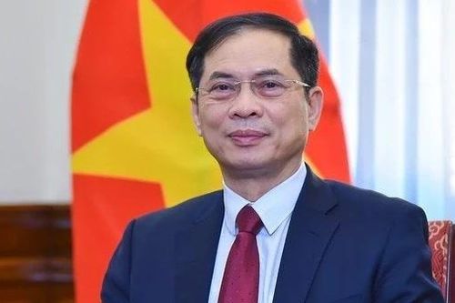 Phó thủ tướng Bùi Thanh Sơn nhận thêm nhiệm vụ mới