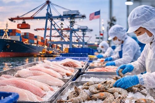 Thuế nhập khẩu Mỹ 10%: 'Khoảng thở' ngắn hạn cho thủy sản Việt Nam