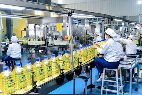 Quy chuẩn dầu thực vật tinh chế: 'Hàng rào' ngăn sản phẩm kém chất lượng
