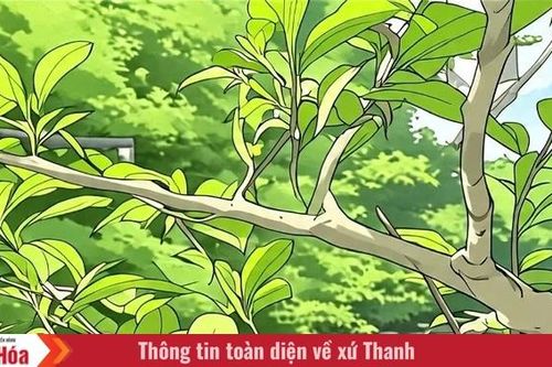 Nhành xuân khẽ cựa mình