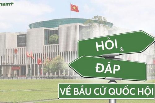 Trong vận động bầu cử, pháp luật cấm những hành vi nào?