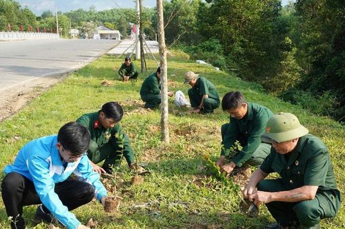 Ra mắt mô hình 'Tuyến đường hoa tường vi hội cựu chiến binh' và 'Vườn ươm cựu chiến binh'