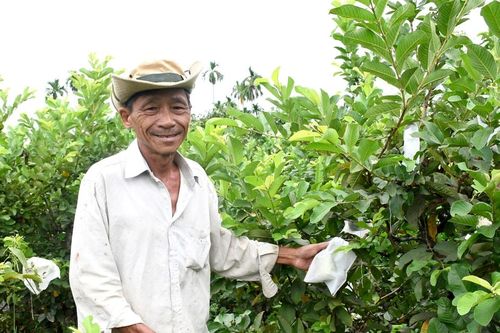 Minh bạch để phát triển chuỗi nông sản bền vững