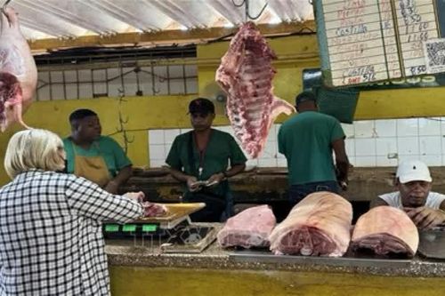 Cuba kiên quyết kiểm soát giá cả và đẩy nhanh chuyển đổi năng lượng