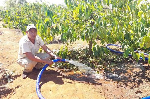 Gia Lai: Linh hoạt điều tiết nước tưới để 'né hạn'