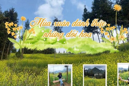 Mùa xuân đánh thức những đồi hoa